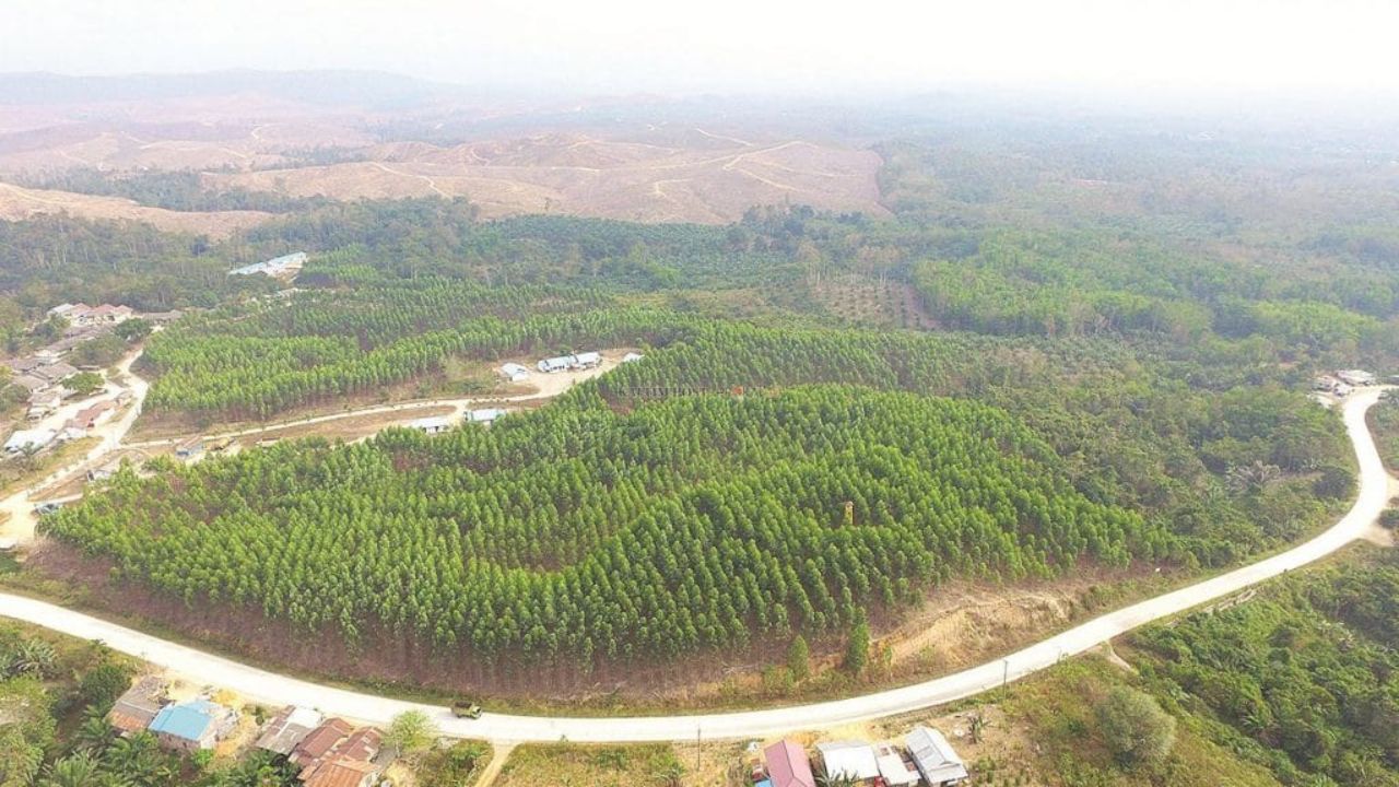 Kebun Raya di IKN