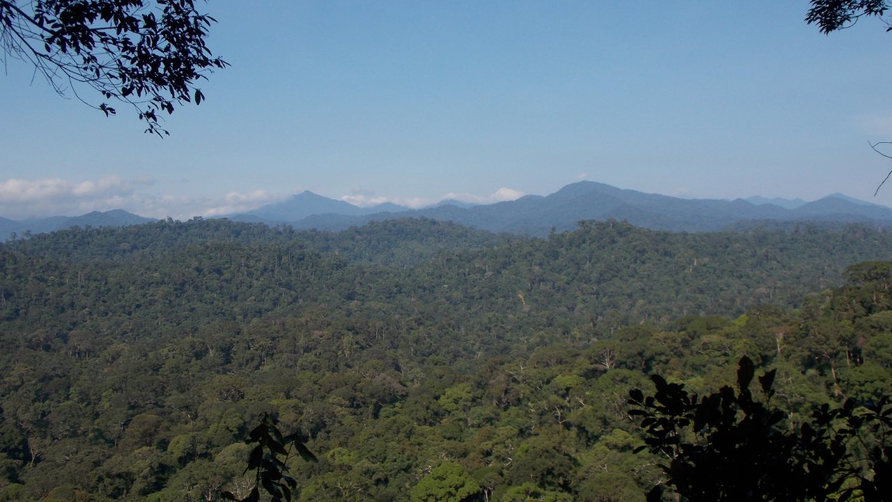 gunung bukit raya kalimantan